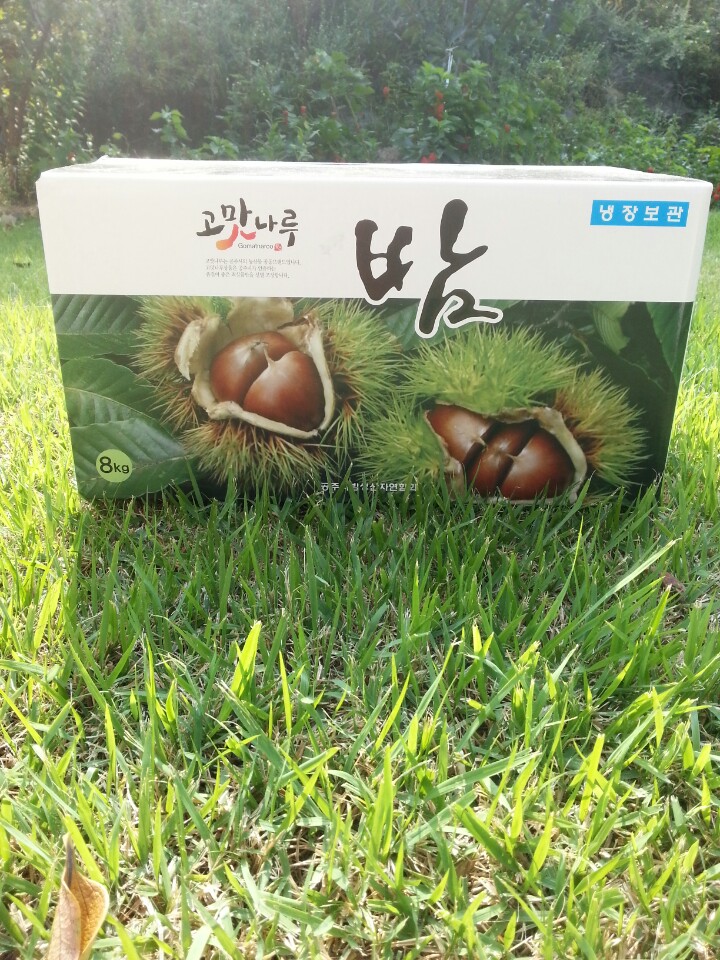 알밤 특 8kg